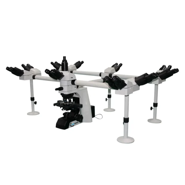 Multi-Viewing Biological Microscope CenVA SynView MVB100